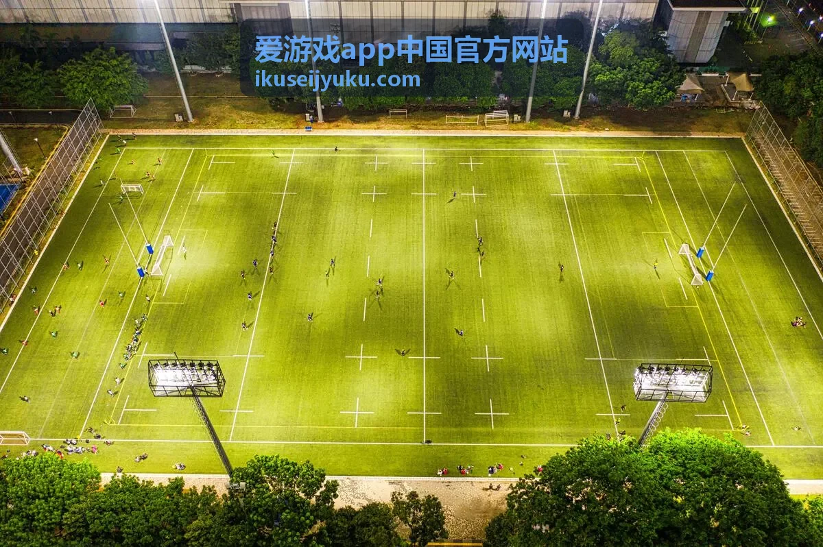 爱游戏app中国官方网站新游条目封面